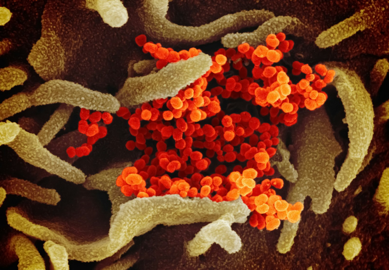 a close up of a red and yellow substance